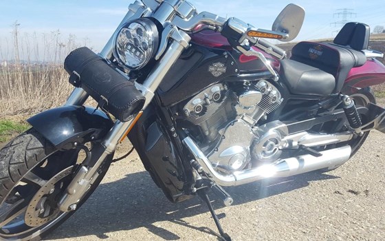 Gebrauchtmotorrad Harley-Davidson V-Rod Muscle VRSCF - Bild 1