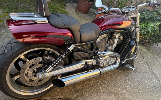 Gebrauchtmotorrad Harley-Davidson V-Rod Muscle VRSCF - Bild 2