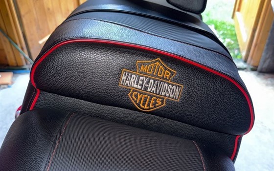 Gebrauchtmotorrad Harley-Davidson V-Rod Muscle VRSCF - Bild 3