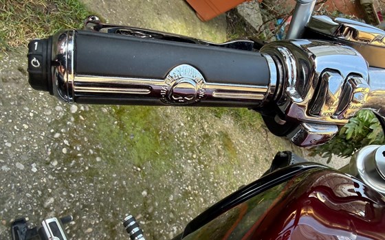 Gebrauchtmotorrad Harley-Davidson V-Rod Muscle VRSCF - Bild 4