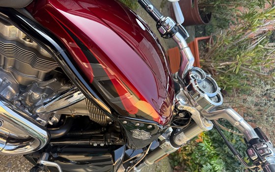 Gebrauchtmotorrad Harley-Davidson V-Rod Muscle VRSCF - Bild 7