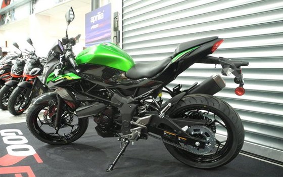 Neufahrzeug Kawasaki Z125 - Bild 7