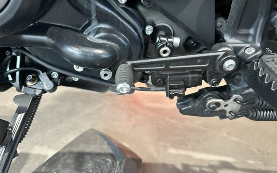 Gebrauchtmotorrad Harley-Davidson Pan America 1250 Special - Bild 9