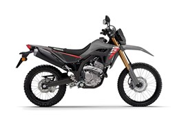 Neumotorrad Honda CRF300L