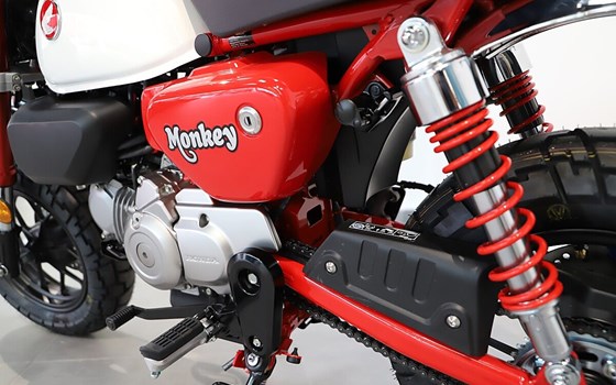 Neufahrzeug Honda Monkey - Bild 4