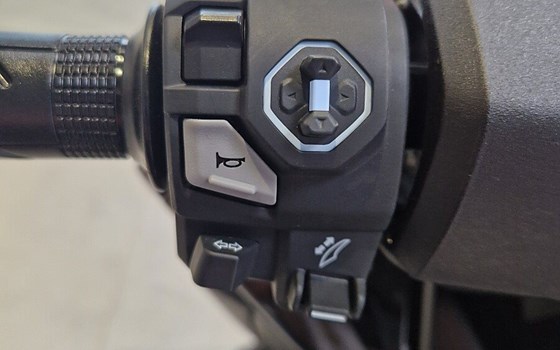 Neufahrzeug Honda Forza 125 Special Edition - Bild 11