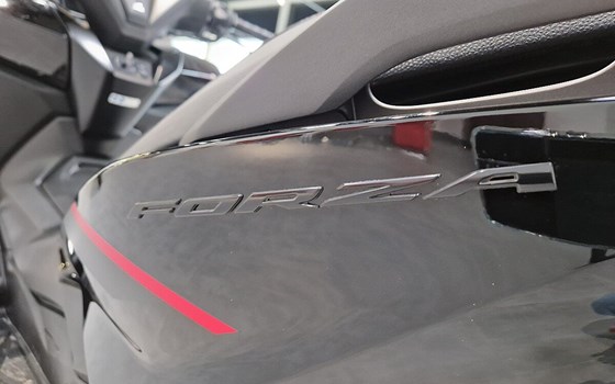 Neufahrzeug Honda Forza 125 Special Edition - Bild 9