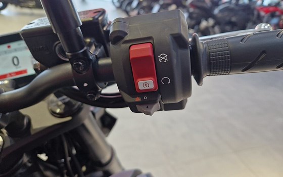 Neufahrzeug Honda CB750 Hornet - Bild 11