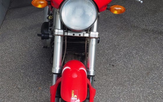 Gebrauchtmotorrad Ducati Monster 1000 - Bild 3