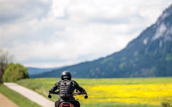 Gebrauchtmotorrad Ducati XDiavel S - Bild 3