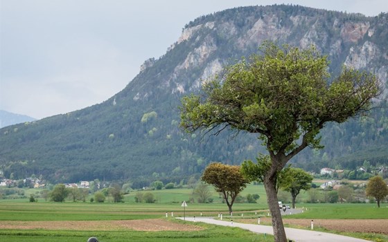 Gebrauchtmotorrad Ducati XDiavel S - Bild 7