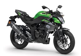 Neumotorrad Kawasaki Z125