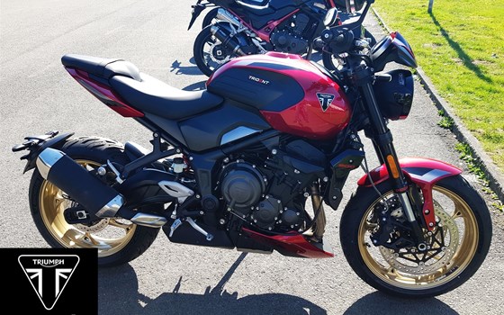 Neufahrzeug Triumph Trident 800 - Bild 1