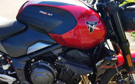 Neufahrzeug Triumph Trident 800 - Bild 4