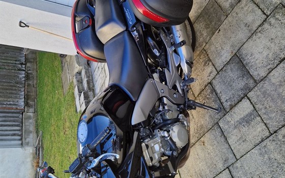 Gebrauchtmotorrad Honda CBF 1000 - Bild 5