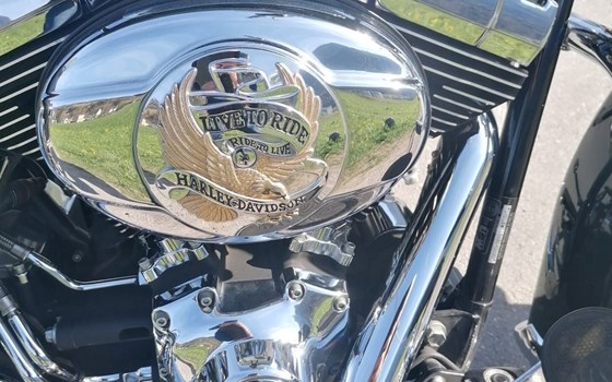 Gebrauchtmotorrad Harley-Davidson Softail Heritage Classic FLSTC - Bild 9