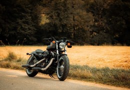 Occasion Harley-Davidson Sportster XL 1200X Forty-Eight
