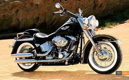 Gebrauchtmotorrad Harley-Davidson Softail Deluxe FLSTN - Bild 1