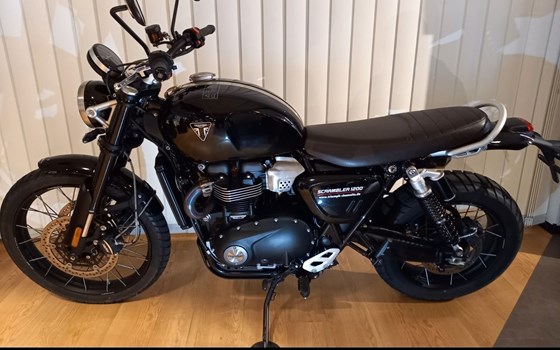 Gebrauchtmotorrad Triumph Scrambler 1200 X - Bild 3