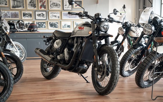 Neufahrzeug BSA Scrambler 650 - Bild 2