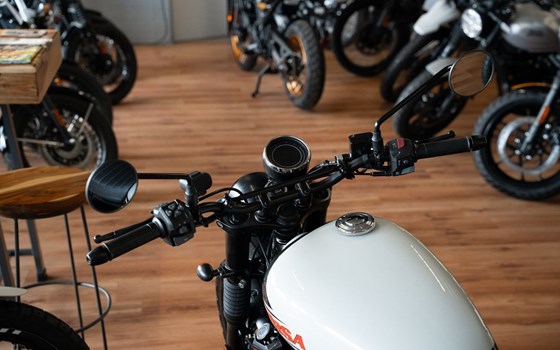 Neufahrzeug BSA Scrambler 650 - Bild 20