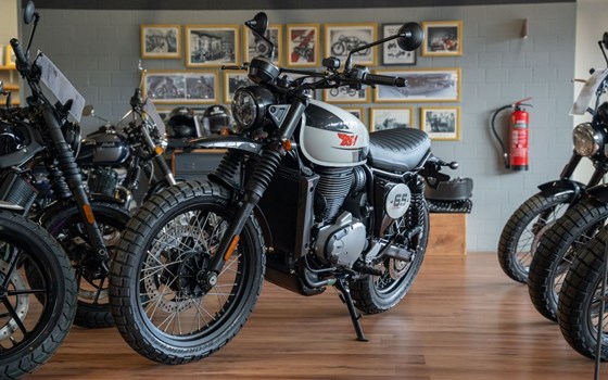 Neufahrzeug BSA Scrambler 650 - Bild 3