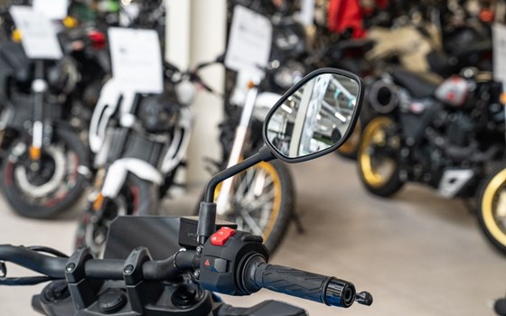 Neufahrzeug Suzuki GSX-8S - Bild 19