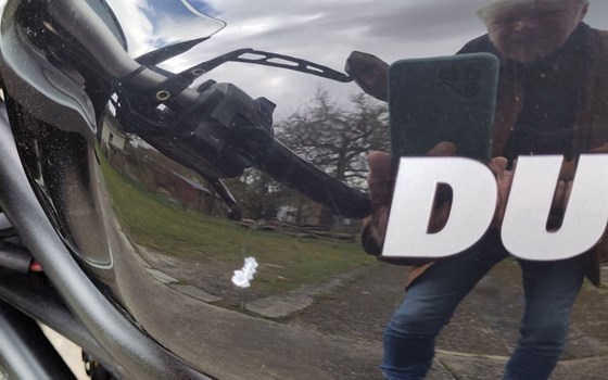 Gebrauchtmotorrad Ducati Monster S2R 800 - Bild 4