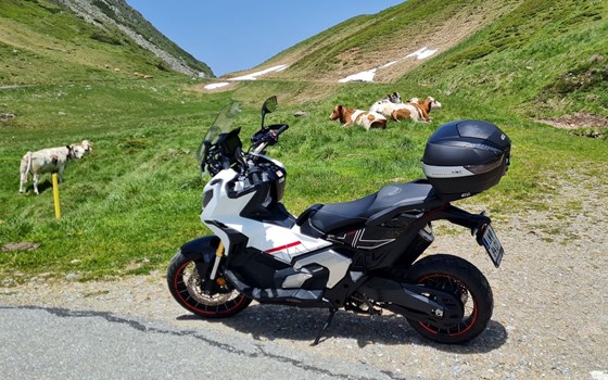 Gebrauchtmotorrad Honda X-ADV Special Edition - Bild 3