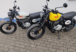 Neumotorrad BSA Scrambler 650