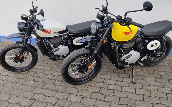 Neufahrzeug BSA Scrambler 650 - Bild 1