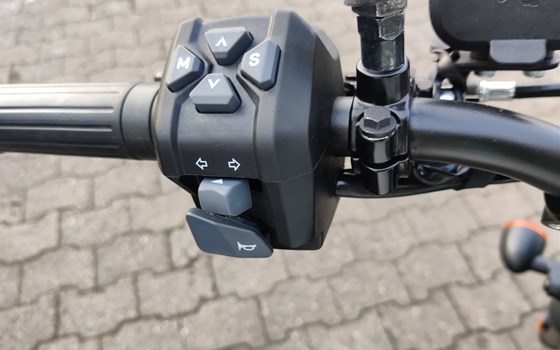 Neufahrzeug BSA Scrambler 650 - Bild 11