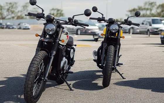 Neufahrzeug BSA Scrambler 650 - Bild 19