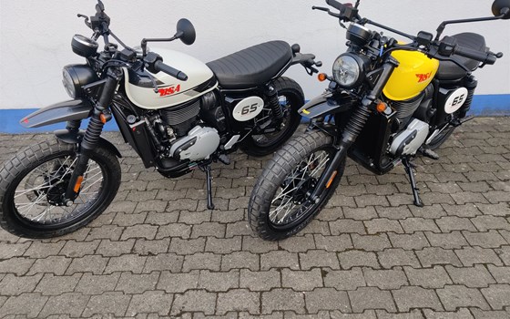 Neufahrzeug BSA Scrambler 650 - Bild 2