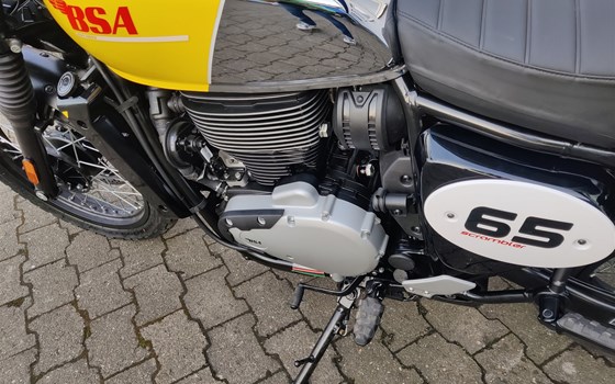 Neufahrzeug BSA Scrambler 650 - Bild 7
