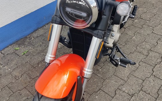 Neufahrzeug QJ Motor SRV12 - Bild 10