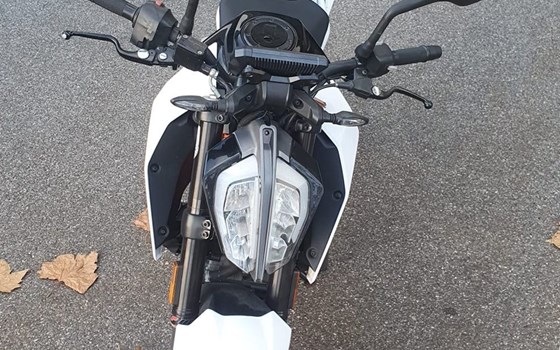 Gebrauchtmotorrad KTM 390 Duke - Bild 3
