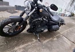 Gebrauchte Harley-Davidson Sportster XL 883 N Iron