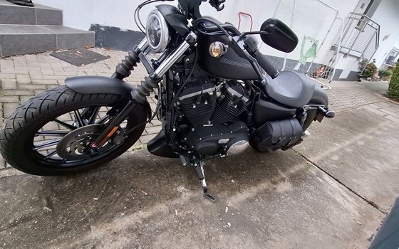Gebrauchtmotorrad Harley-Davidson Sportster XL 883 N Iron - Bild 1