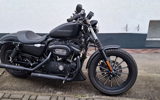 Gebrauchtmotorrad Harley-Davidson Sportster XL 883 N Iron - Bild 11