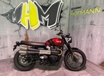 Angebot Triumph Scrambler 900