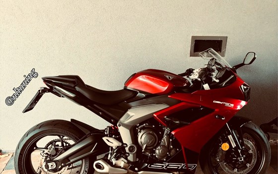 Gebrauchtmotorrad Triumph Daytona 660 - Bild 3