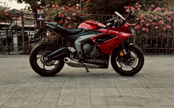 Gebrauchtmotorrad Triumph Daytona 660 - Bild 2