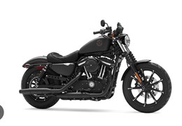 Occasion Harley-Davidson Sportster XL 883 N Iron