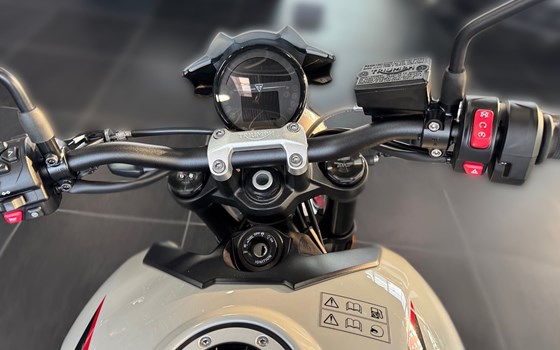 Neufahrzeug Triumph Trident 800 - Bild 12
