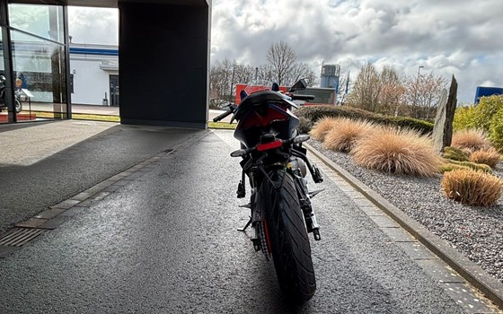 Neufahrzeug Aprilia RS 457 - Bild 8