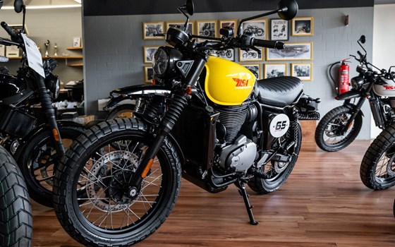 Neufahrzeug BSA Scrambler 650 - Bild 3