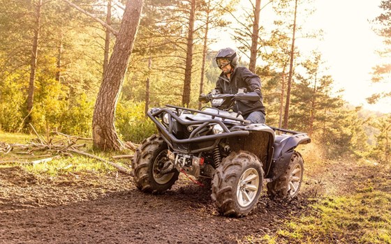 Neufahrzeug Yamaha Grizzly 700 25th Anniversary - Bild 3