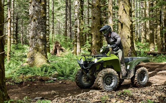 Neufahrzeug Yamaha Grizzly 700 EPS - Bild 4