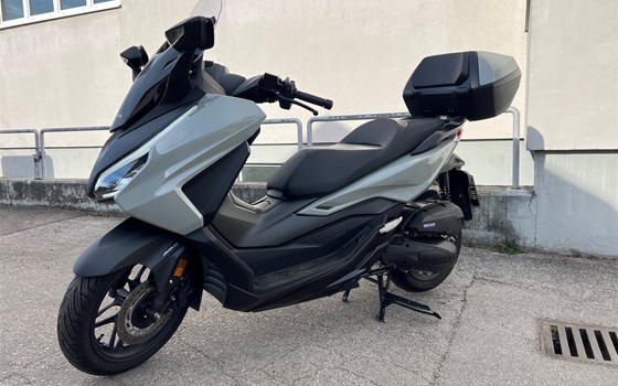 Gebrauchtmotorrad Honda Forza 125 - Bild 1